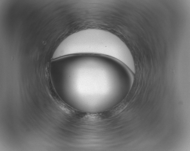 X0000073890280200608110917