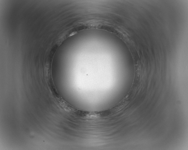 X0000073890283200608110917