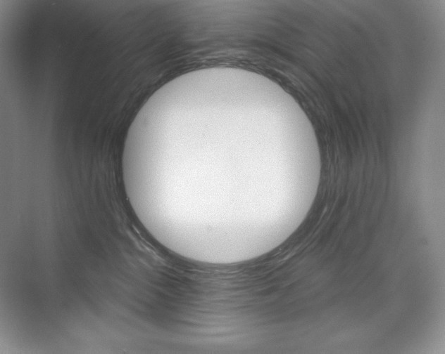X0000073890284200608110918