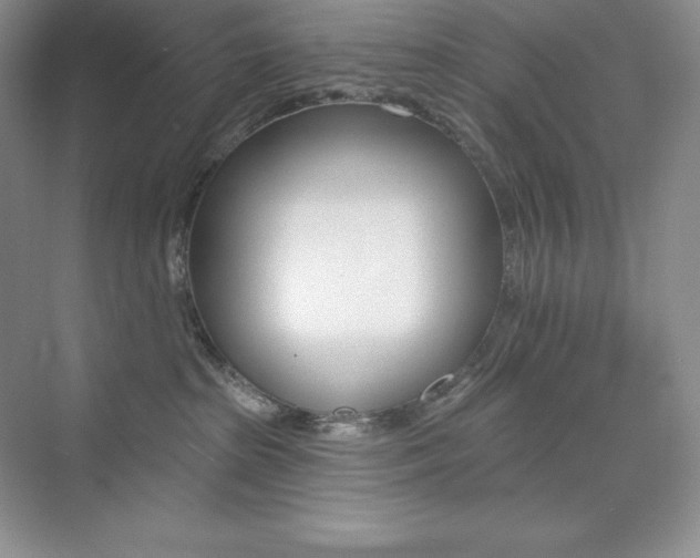 X0000073890285200608110918