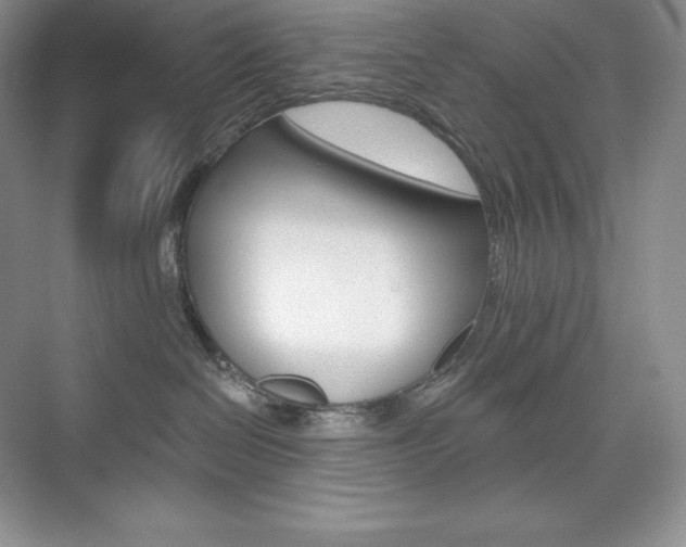 X0000073890286200608110918