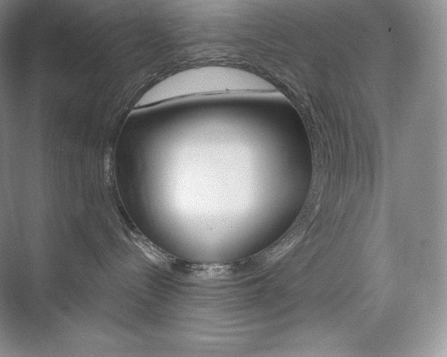X0000073890288200608110918