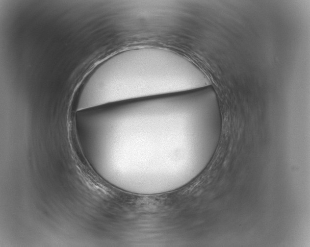 X0000073890290200608110917