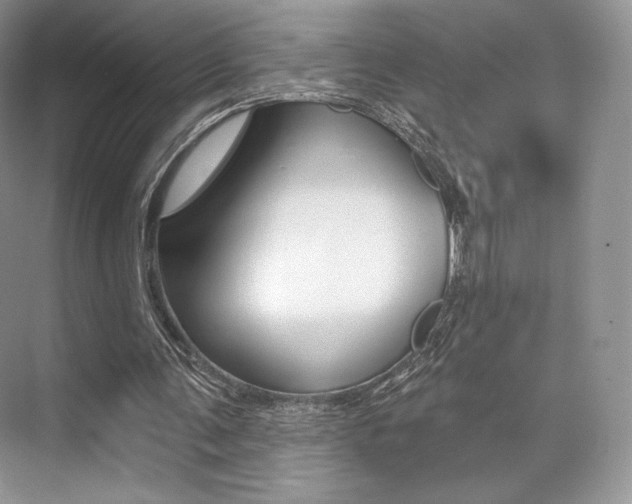 X0000073890291200608110917