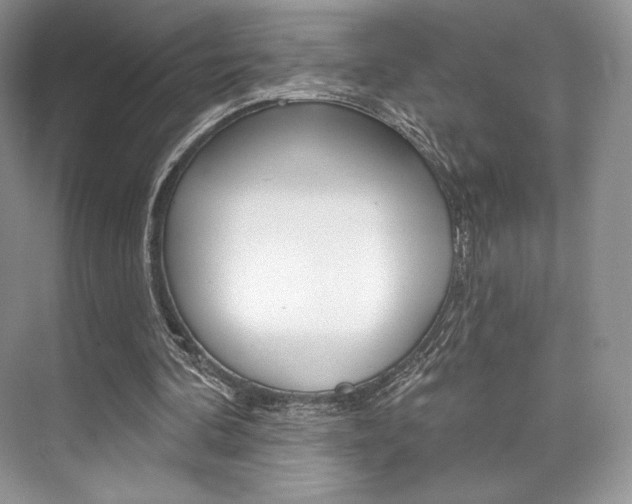 X0000073890292200608110917