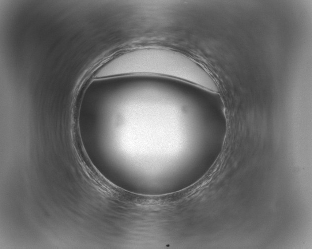 X0000073890293200608110917