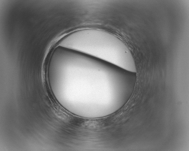 X0000073890294200608110917