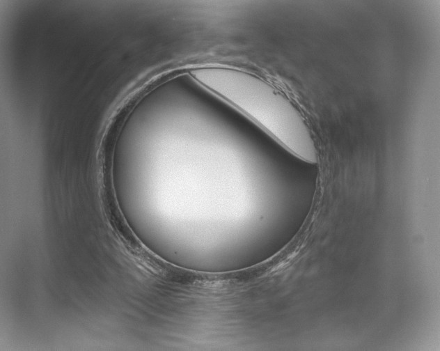 X0000073890295200608110917