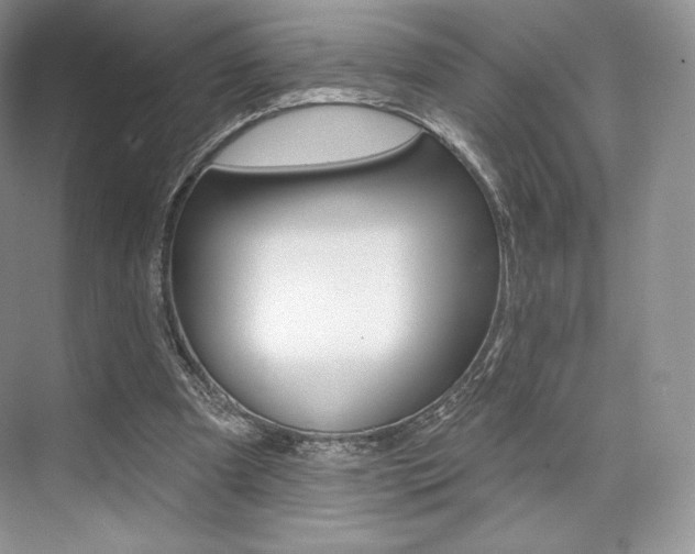 X0000073890297200608110917