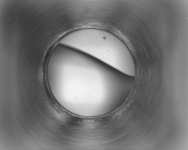 X0000073890298200608110917