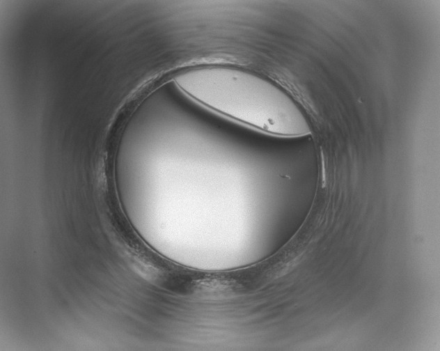 X0000073890300200608110917