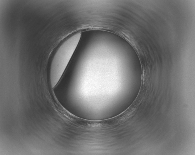 X0000073890301200608110917