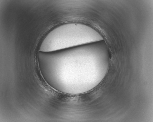 X0000073890306200608110916