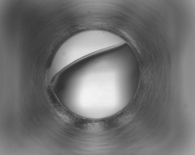 X0000073890307200608110916