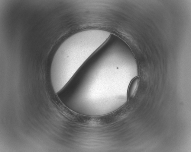 X0000073890308200608110916