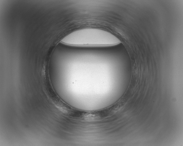 X0000073890315200608110916
