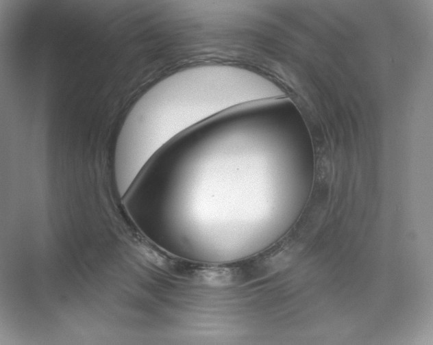 X0000073890317200608110916