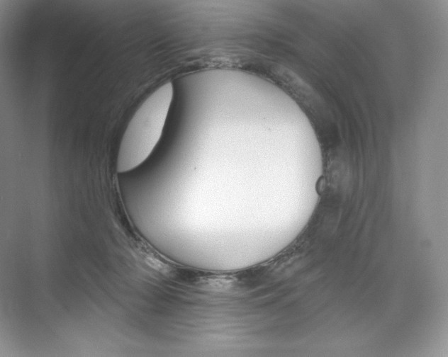 X0000073890318200608110916