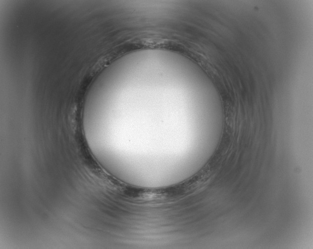 X0000073890319200608110916