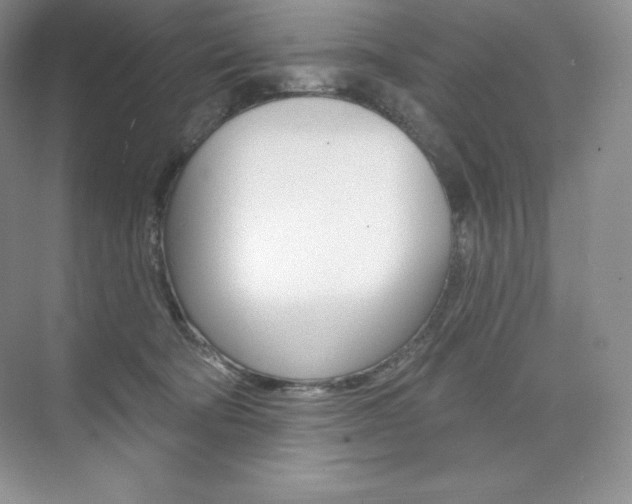 X0000073890322200608110916