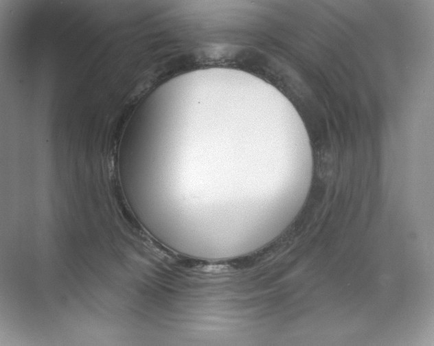 X0000073890324200608110916