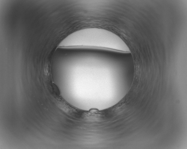 X0000073890331200608110916