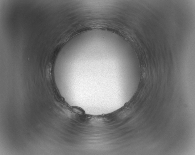X0000073890332200608110916