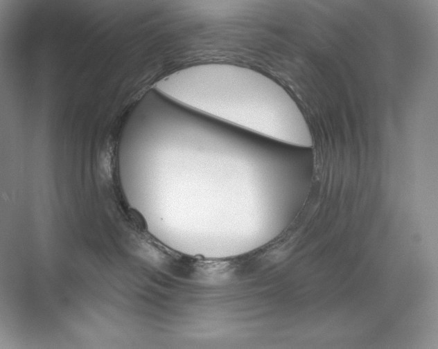 X0000073890334200608110916