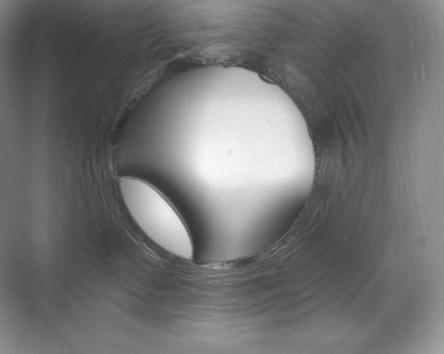 X0000073890335200608110916