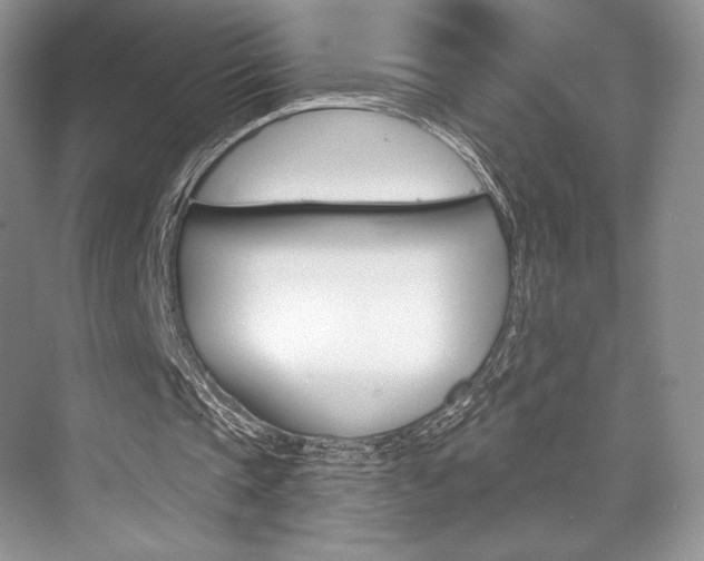 X0000073890337200608110915