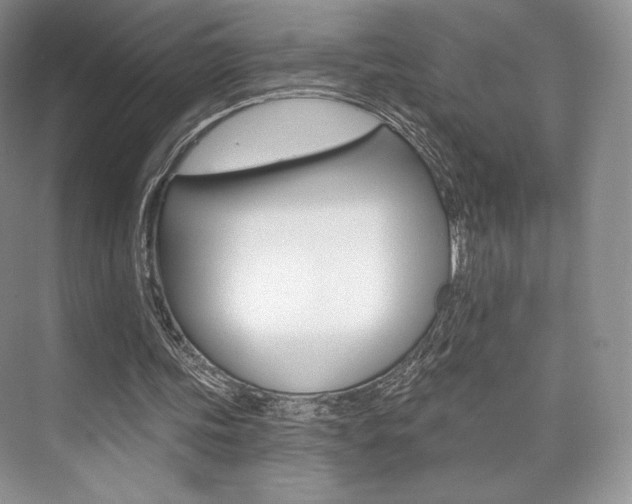 X0000073890339200608110915