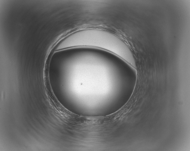 X0000073890340200608110915