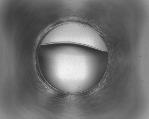 X0000073890341200608110915
