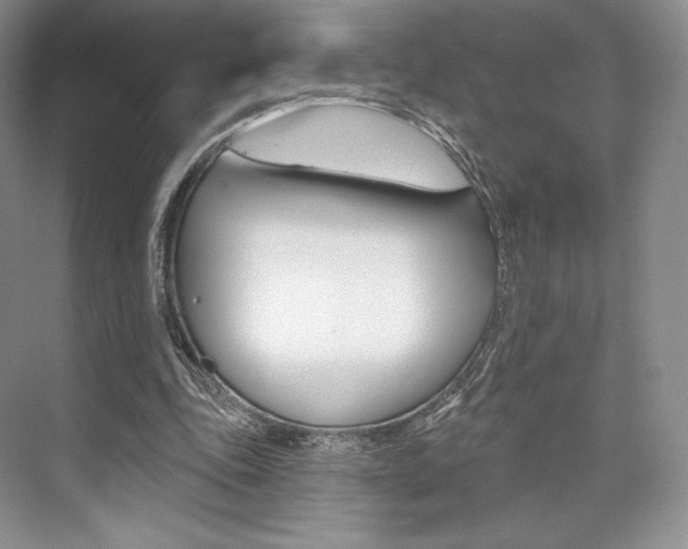 X0000073890343200608110915
