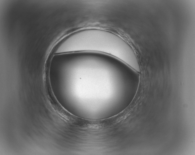 X0000073890344200608110915