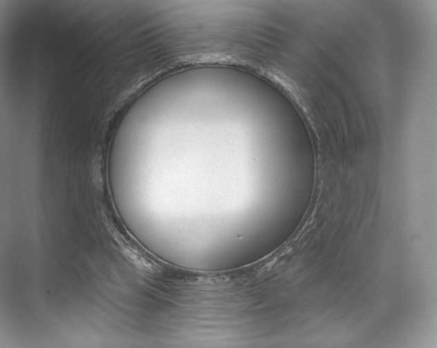 X0000073890345200608110915