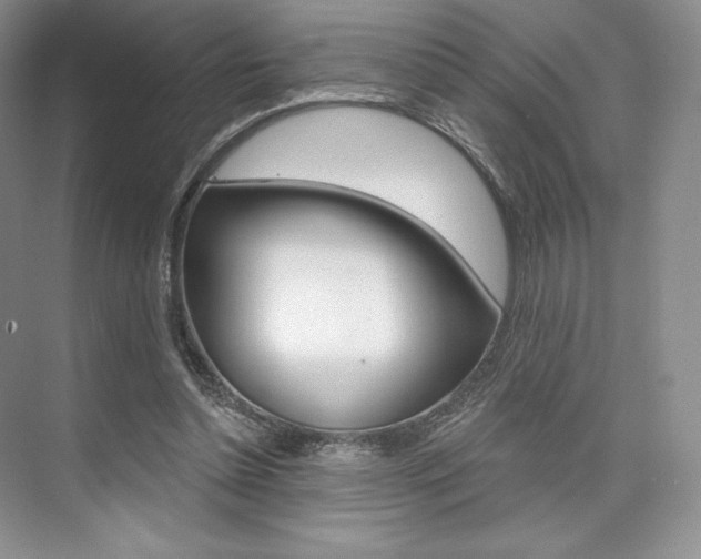 X0000073890348200608110915