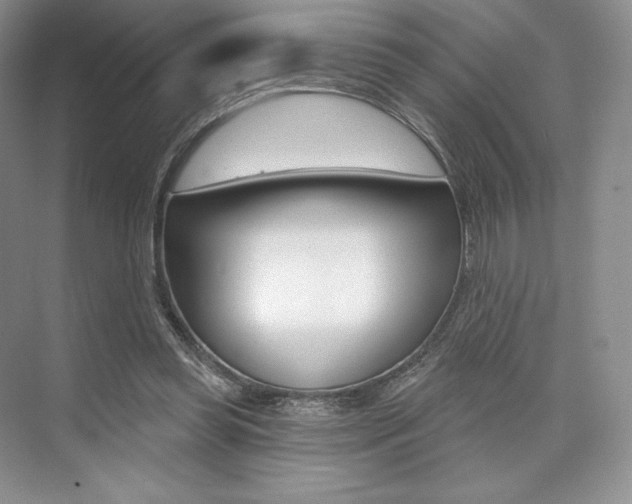 X0000073890349200608110915