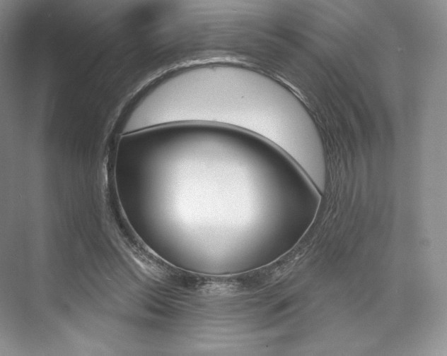X0000073890350200608110915