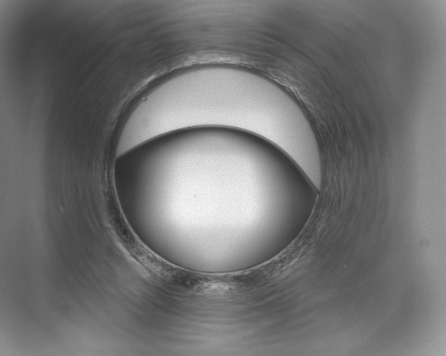 X0000073890352200608110915