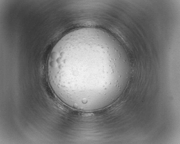 X0000073890355200608110915
