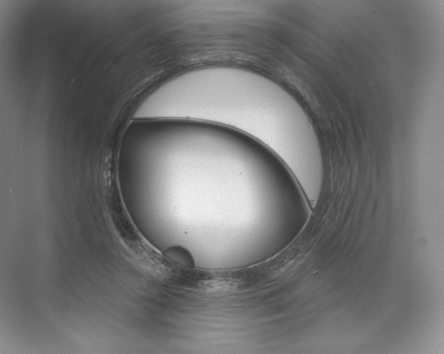 X0000073890356200608110915