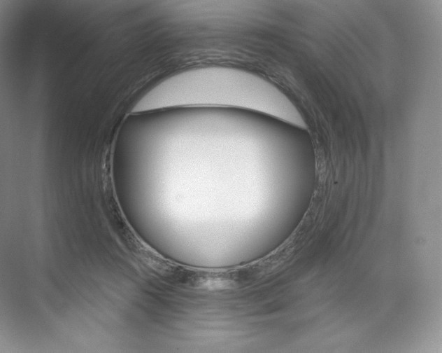 X0000073890360200608110916