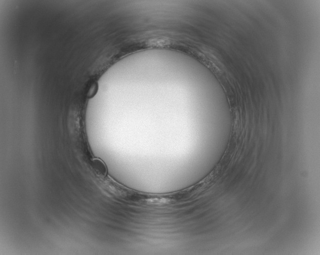 X0000073890363200608110916