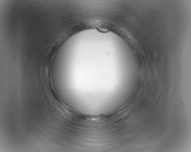 X0000073890365200608110916