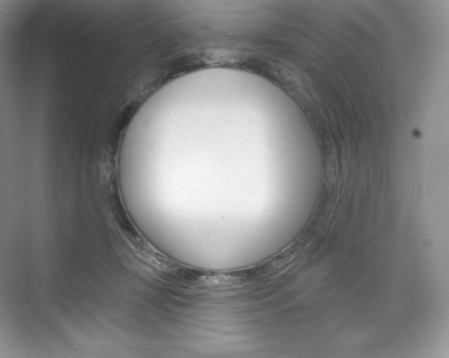 X0000073890367200608110916