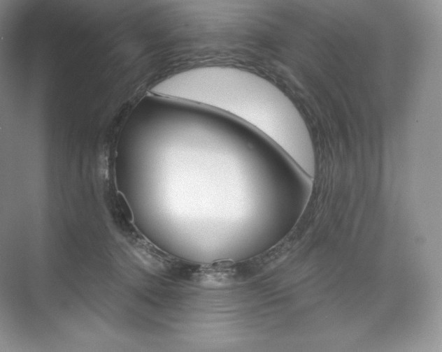 X0000073890368200608110916
