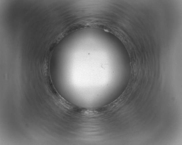 X0000073890372200608110916