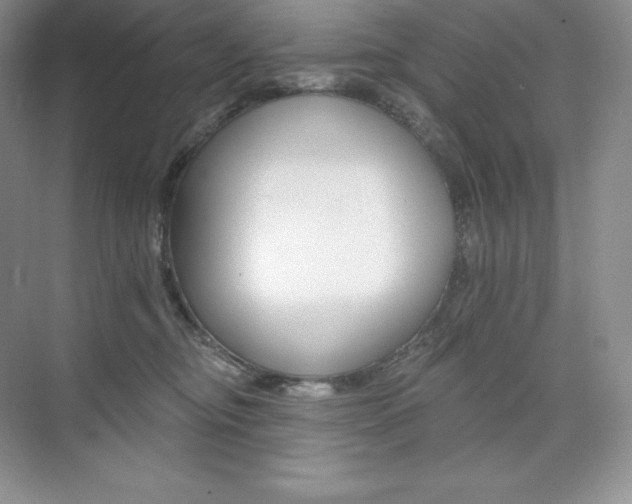 X0000073890374200608110916