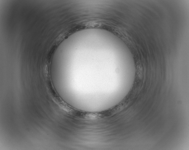 X0000073890375200608110916